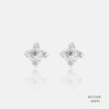 Silver Earrings 555573