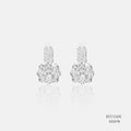 Silver Earrings 555578