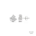 Earrings 555864