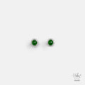 Earrings 556281