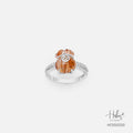 Hebes Design Silver 925 Ring HC550250